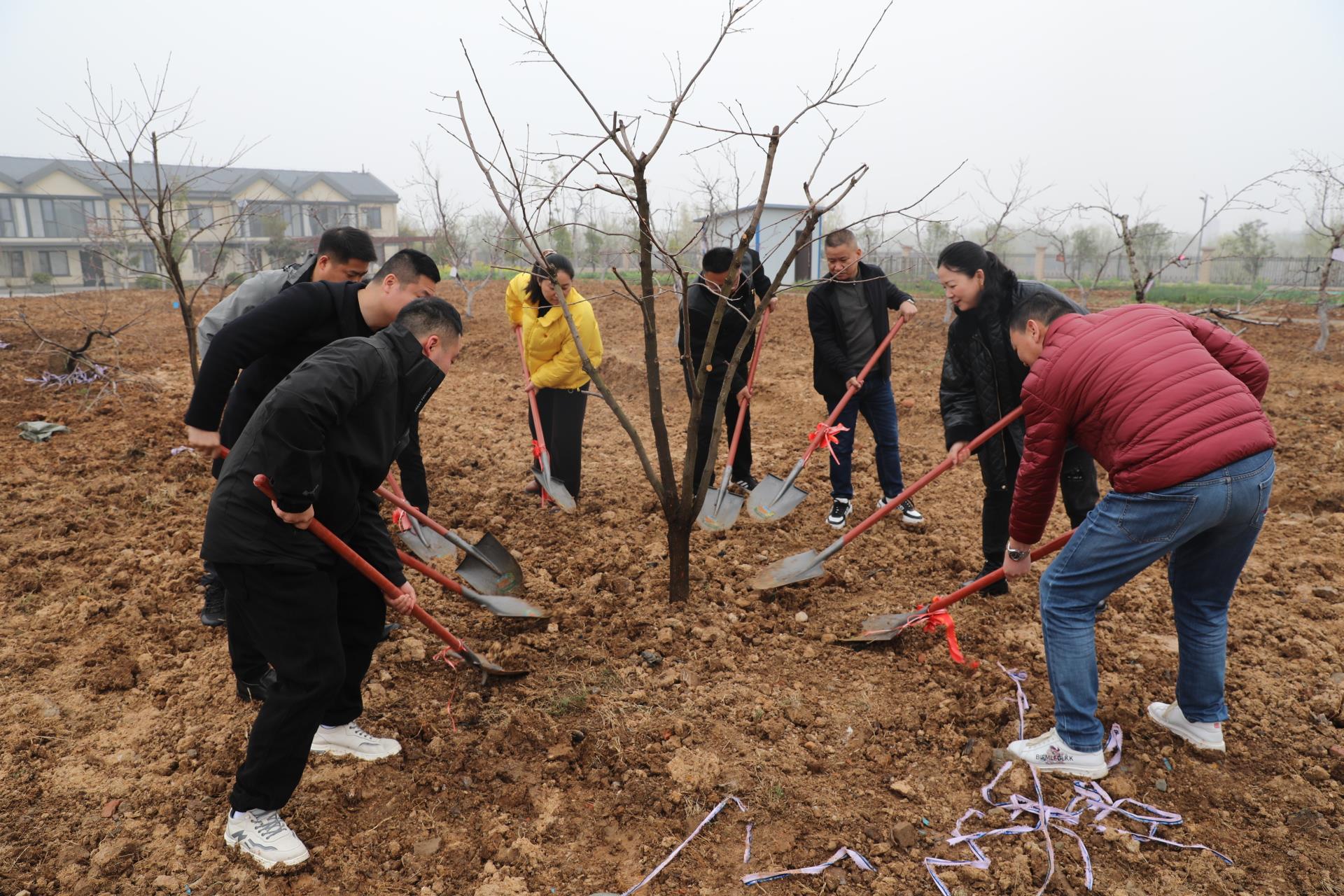 6M5A9601 6M5A9601.JPG